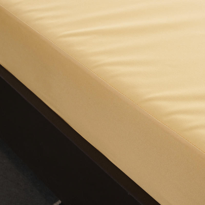 Vodotěsná ochranná matracová podložka Dust Mite Queen Size Fitted Topper